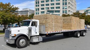 A white truck with hay on the back photo
