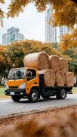 A truck carrying hay photo