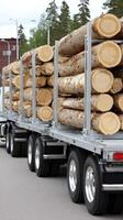 A truck with logs on it photo
