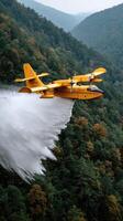A yellow and white plane spraying water photo