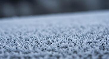 Frosty grass in the morning photo