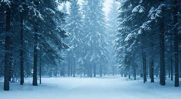 A snowy forest with trees and snow photo