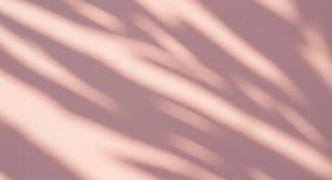 A pink wall with shadows of palm leaves photo