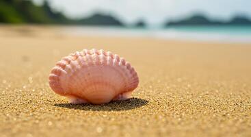 A pink shell on the beach with a green background photo