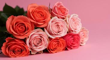 A bouquet of roses on a pink background photo