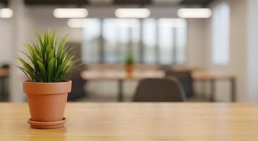 A plant in a pot on a table in an office photo