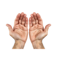 Two open human hands reaching upwards palms facing the viewer isolated on transparent background png