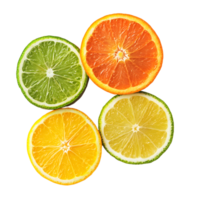 Four citrus fruit slices including orange lime and lemon isolated on transparent background png