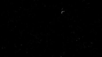Noise Grain overlay V1 video