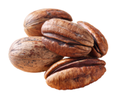 Healthy pecan nuts for culinary use in recipes and desserts png