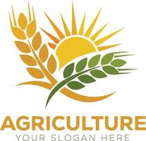 sun with leafs agro logo vector