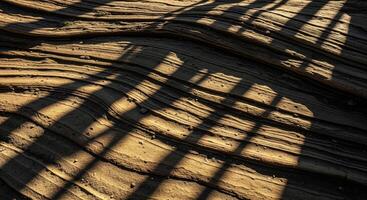 A shadow cast on a rock wall photo