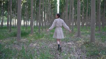 A woman, dressed in a stunning floral dress, is leisurely walking along a tranquil forest path video