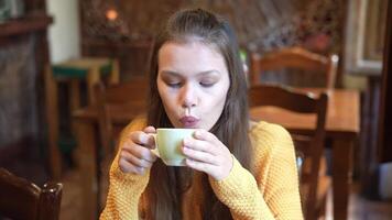 Enjoying a Warm Drink in a Cozy Caf Setting video