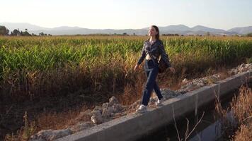 A person balanced on the edge of a canal, amid a scenic landscape of greenery and sunlight video