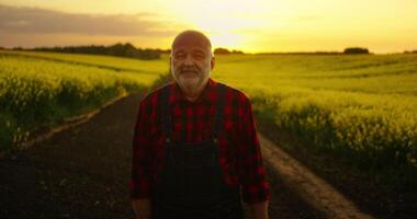 Agronomy And Ecology, Portrait Of Happy Farmer Walking Alone In Blooming Farmland, Rape Plantation video