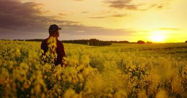 Unity Of Person And Nature, Old Farm Worker Admiring Beautiful Rural Landscape In Sunset Or Sunrise video