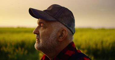 Elderly farmer in a field video