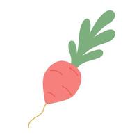 Whimsical pink carrot with leafy green top, suitable for spring farm graphics, vegetarian cookbook art, or playful organic market branding vector