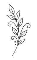 Minimalist line art illustration featuring a stylized branch with leaves and swirls vector