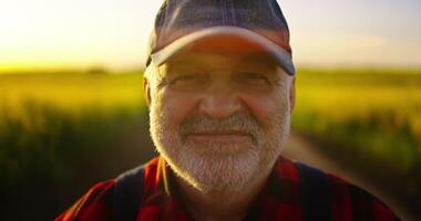 Cheerful Caucasian Old Farm Worker Smiling To Camera, Portrait In Agricultural Field In Summer, Harvesting video