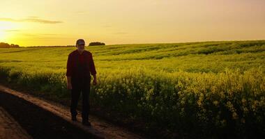 Happy Summer In Country, Portrait Of Walking Farm Worker On Blooming Rape Fields, Slow Motion video