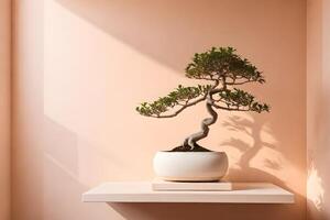 Serene Bonsai Tree in Soft Sunlight on Minimalist Shelf photo