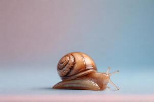 Detailed Studio Shot of a Shiny Snail on a Pastel Gradient Background photo