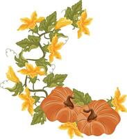 semicircular decorative autumn frame in the shape of a wreath with green leaves, yellow pumpkin flowers and two round orange pumpkins with brown tails, for decorating autumn cards, food designs vector