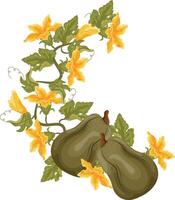 semicircular decorative autumn frame in the shape of a wreath with green leaves, yellow pumpkin flowers and two long green pumpkins, for decorating autumn cards, food designs or other designs vector