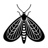 a black and white moth on a white background vector