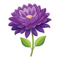 purple flower with green leaves on a white background vector