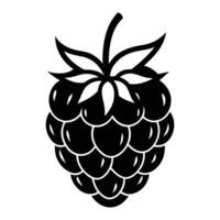 black raspberry fruit icon illustration. vector