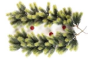 fir tree branch for decorating of bouquets and home photo