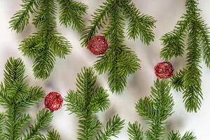 fir tree branch for decor of bouquets and home photo