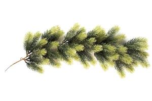 Fake fir tree branch for decor of bouquets and home photo