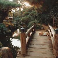 A wooden bridge photo