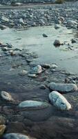Stream Flowing Water Between River Rocks In Relaxing Peaceful Nature video