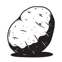 Black and white potato illustration tuber root vegetable vector