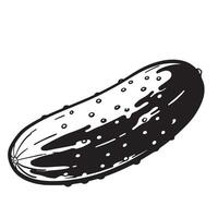 Black and white pickle illustration cucumber vegetable vector