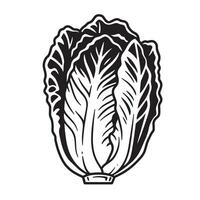 Black and white illustration of a leafy vegetable lettuce cabbage vector