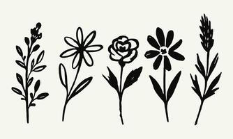 Minimal Black Wildflower Doodle Set Hand Drawn Floral Collection vector