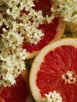 Close Up of Grapefruit Slices with Delicate White Flowers. A vibrant still life image showcasing the juicy texture of grapefruit and the delicate beauty of springtime blossoms. photo