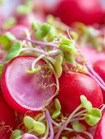 Close Up of Fresh Radishes and Sprouts Vibrant Colors and Textures. photo