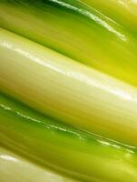 Close up of vibrant green and yellow leeks, showcasing their smooth texture and natural curves. photo