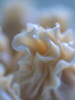 Abstract Close Up of Delicate Dumpling Skin, Food Texture Background. photo