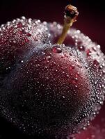 Close up of a single plum covered in water droplets, vibrant red tones. photo