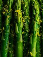 Close up of Fresh Green Asparagus Spears with Lemon Zest. photo