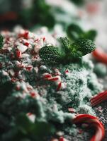 Close Up of Peppermint Candy Crumble with Fresh Mint. A textured image of crushed candy canes and mint leaves on a bed of green confectionery. photo