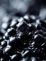 Close Up of Shiny Black Berries, Glistening with Moisture. photo